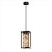 Corbett Lighting 120-41 Karma One Light Hanging Pendant in Tranquil Bronze