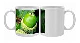 OAK Tree - close-up of acorn Photo Mugs