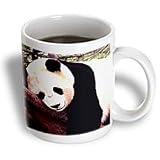 Wild animals - Panda Bear - Mugs
