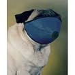 Mesh Dog Muzzle for Short Nose Dogs Fits All