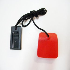 Treadmill Key 290776
