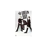 (16x20) Green Day (Group, American Idiot) Music Poster Print