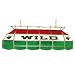 NHL Minnesota Wild Stained Glass 40 inch Lighting Fixture