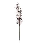 Brown Twigs with Red Berries