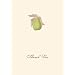 Graphique de France Perfect Pear Boxed Thank You Notes, 4.25 x 5.5 Inches, Cream (L808CB)