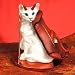 oriental shorthair - Oriental Shorthair Wht Tiny One Devil