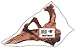 Sinking Driftwood - Large - 16 in. to 20 in. Long