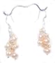 Beautiful Genuine Peach Fresh Water Pearl Cluster Dangle Earrings on 925 Sterling Silver Hooks Comes Gift Boxed