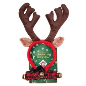 dog christmas collar and antlers