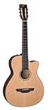 Takamine TF740FS Acoustic Electric Guitar