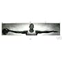 Michael Jordan Wings - Door Poster - Size: 72" x 23"