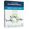 Hammermill Great White Recycled 8 1/2 x 11 Inch Copy Paper 5000 Sheets (86700)