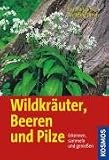 Wildkräuter, Beeren und Pilze: Erkennen, Sammeln und Genießen