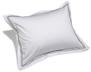 Pinzon Hotel Stitch 400-Thread-Count Egyptian Cotton Sateen Standard Sham, White with Silver Grey Stripes