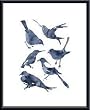 Art Poster Metal Framed Print - Birds - Artist: Aurore de La Morinerie- Poster Size: 16 X 20