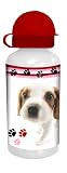 Spearmark Housewares The Dog King Charles Spaniel Ali Bottle