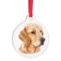 Best Friend Golden Retriever Ornament - Style 37228