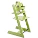 SALE Stokke Tripp Trapp Trend Highchair In Green With Baby Set