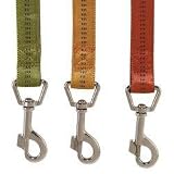Padded Nylon Dog Leads