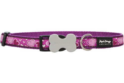 Red Dingo Designer Dog Collar, Small, Breezy Love Purple