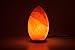 HemingWeigh Natural Himalayan Hand Crafted Crystal Salt Rock Oval Lamp with Wood Base