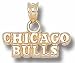 Chicago Bulls 1/4