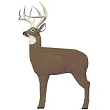 Glendel Pre Rut Buck 3D Target