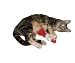 Imperial Cat 01088 Bobber Catnip Toy