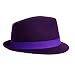 31iAfGRxWaL. AA75  PLUM CLASSIC STRUCTURED WOOL FEDORA HAT