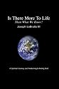 Is There More To Life Than What We Know?: A Spiritual Journey and Awakening to finding God