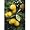 Dwarf Meyer Lemon Tree Five Gallon
