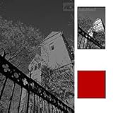 HOYA 55mm RED 25A PHOTOGRAPHIC LENS FILTER