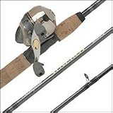 Shakespeare Synergy Ti10 6' Spincast Combo