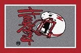 Nebraska Cornhuskers Helmet 2' 8 x 3' 10 Team Spirit Area Rug