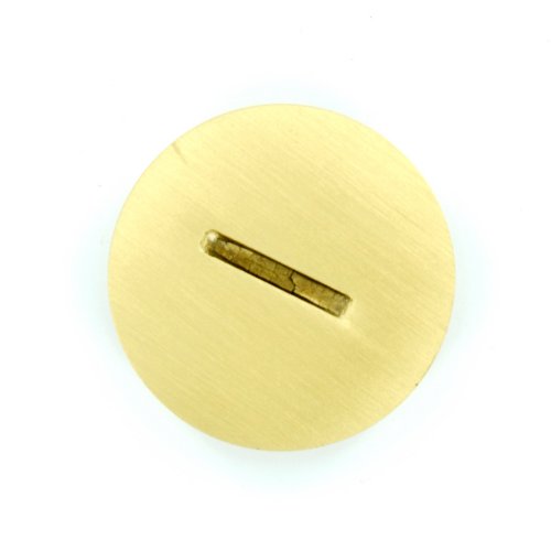 Leviton 25249-CAP Replacement Screw Cap with O-Ring for Duplex Floor Box, Brass with Clear Coating