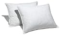 Pinzon Feather And Down Standard Pillow, Set of 2