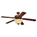 31iBOv5Qp9L. SL75  Elegance Wrought Iron Ceiling Fan Light Kit