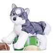 Siberian Husky Plush Dog (Sasha from Douglas Company)