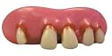 Betty Bob Billy Bob Teeth