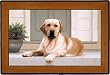 Yellow Labrador Lab on Porch Indoor Outdoor Doormat Rug