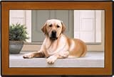 Yellow Labrador Lab on Porch Indoor Outdoor Doormat Rug