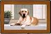 Yellow Labrador Lab on Porch Indoor Outdoor Doormat Rug