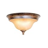Semi Flush Mounted Light Fixtures