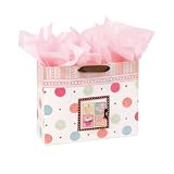 C.R. Gibson Embellished Gift Bag, ABC and Me,... by C.R. Gibson