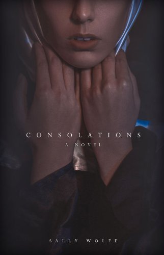 Consolations: A Novel