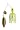 Chartreuse/Gold Blades