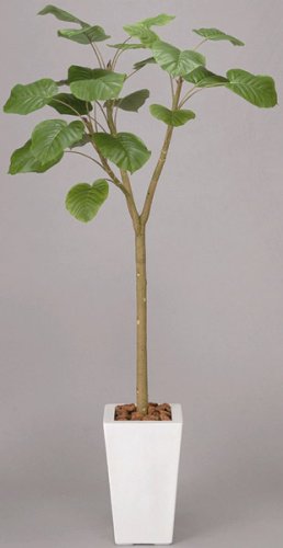 光触媒アートフラワー　ウンベラータＡ３３０３－３５０　
