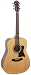 Hohner HW350 Full-Sized Dreadnaught Acoustic Guitar with Hardshell Case