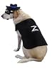 Zorro Pet Costume Trademark Zorro Costume