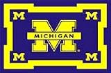 Michigan Wolverines 3' x 5' Small Top View Area Rug